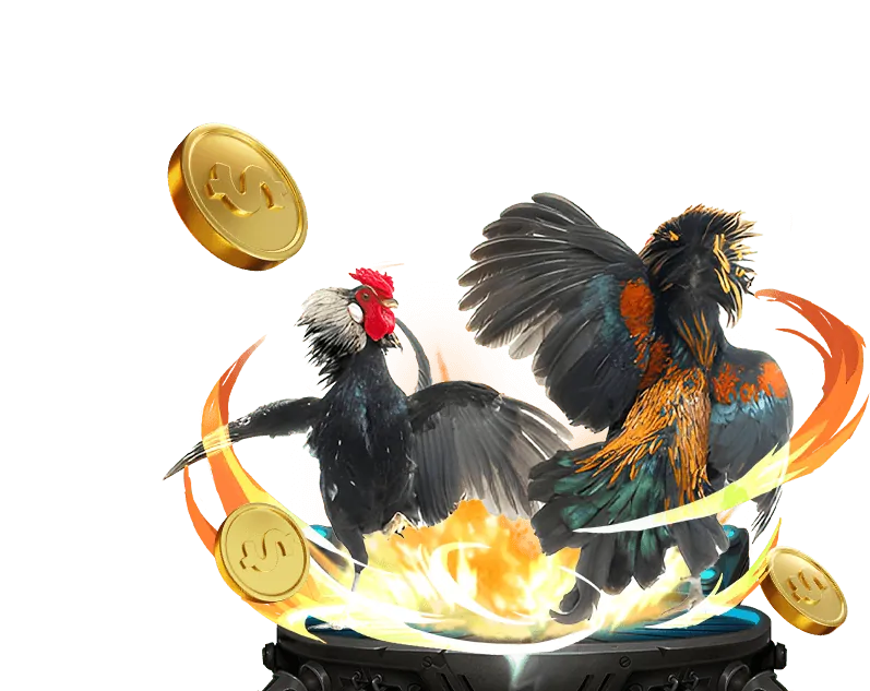 Đá gà Thomo tại new88.đăng nhập